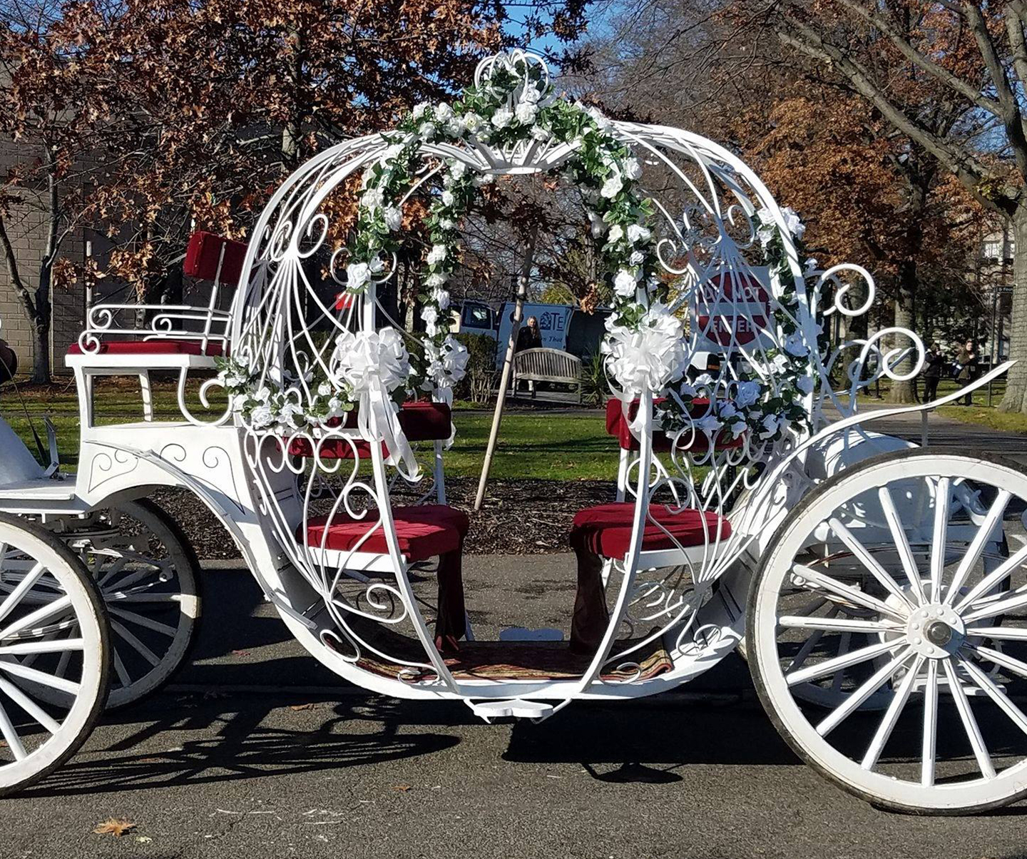 Beautiful Carriage