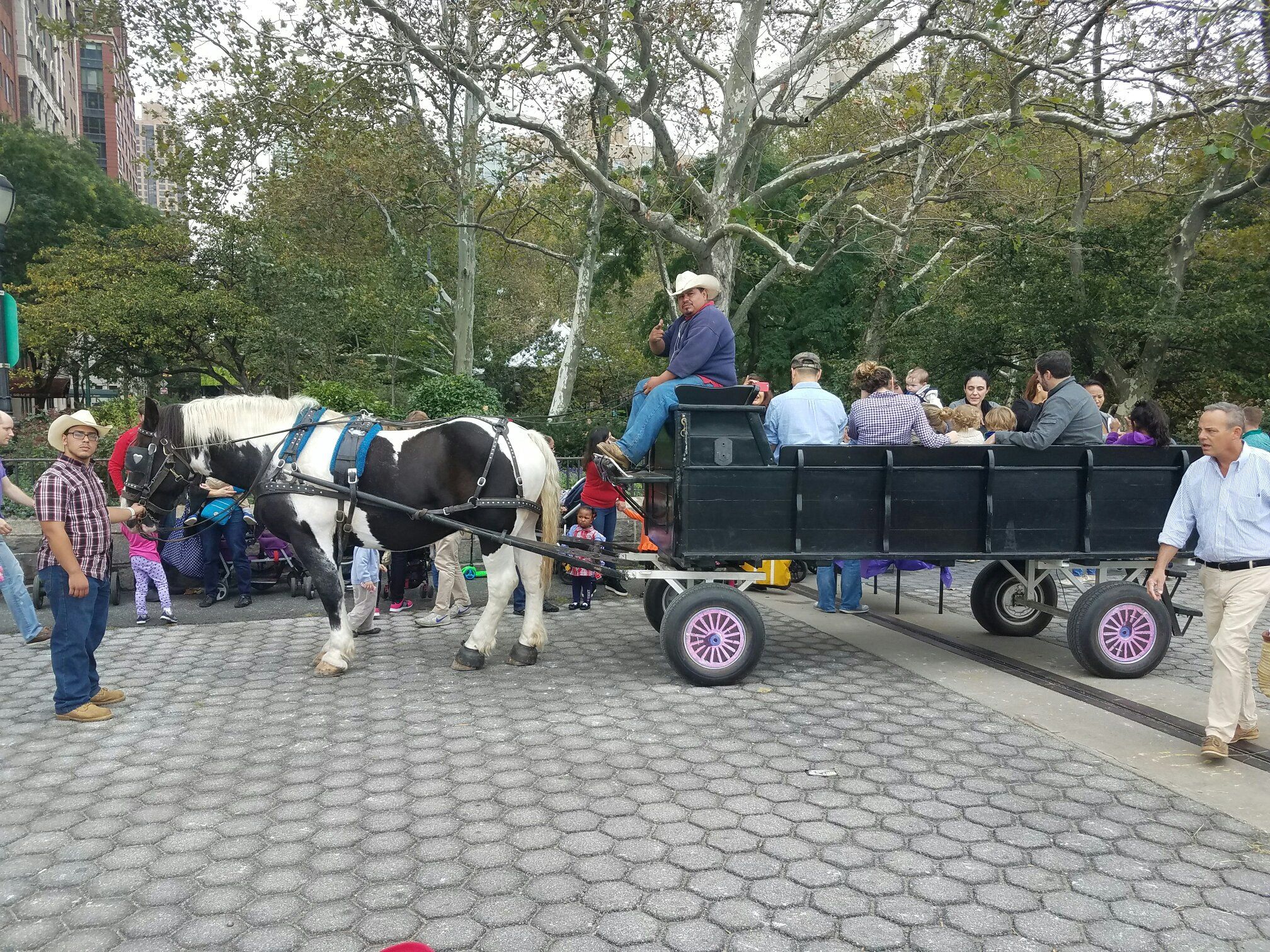 Horse Carriage Ride
